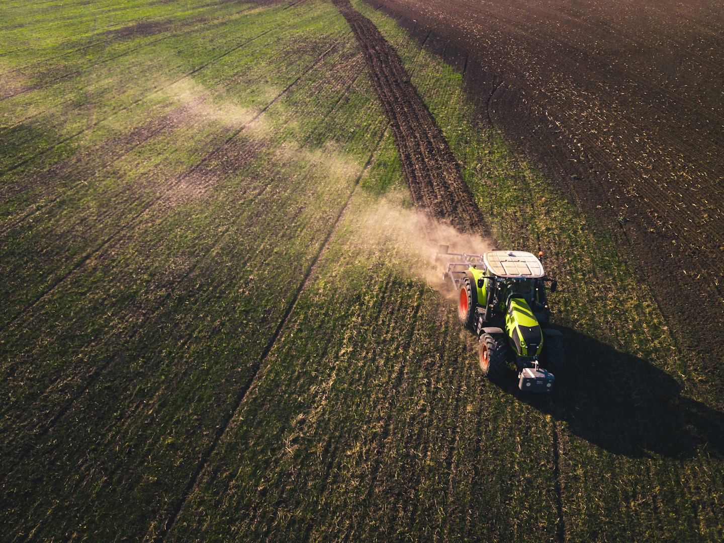 Green and black tractor plowing a large field under the sun.